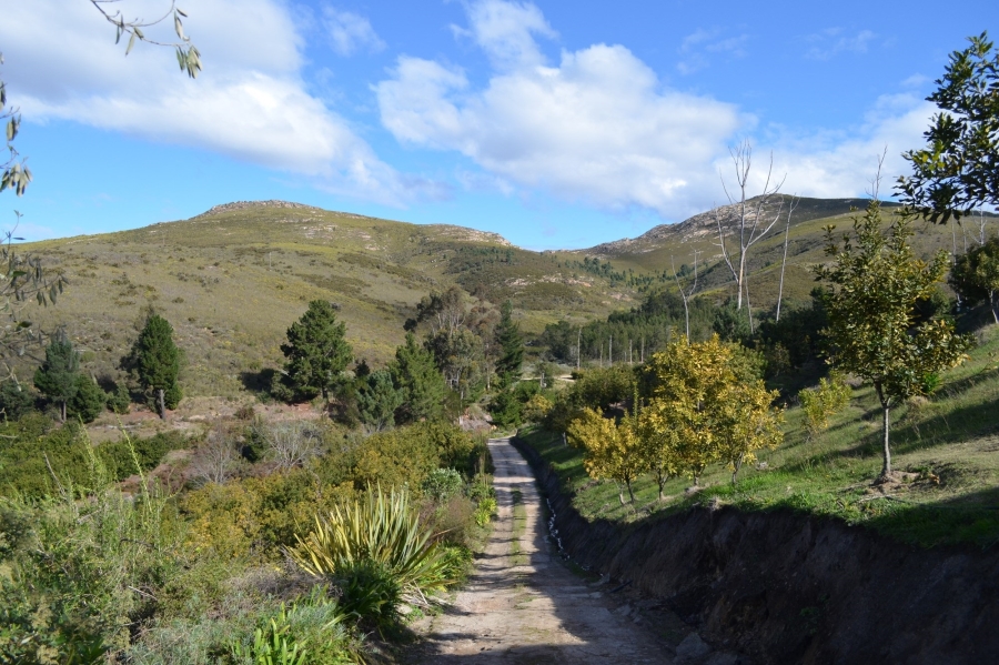 0 Bedroom Property for Sale in Herbertsdale Western Cape